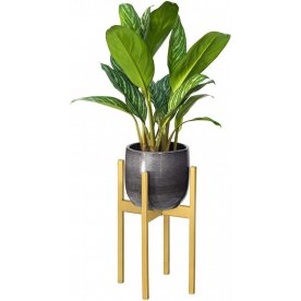 Цветочница Верона 20