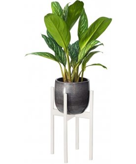 Цветочница Верона 10