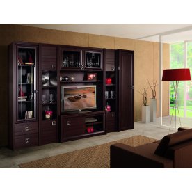 ТВ-модуль Рио 464