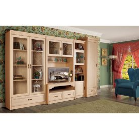 ТВ-модуль Флоренция 666