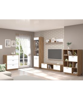 Витрина Эго ПС-1 на подиуме