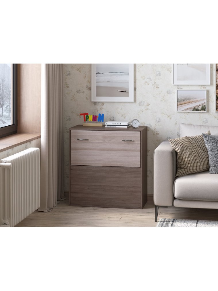 Тумба Банга-4 ясень темный / ясень светлый