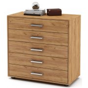 дуб золотистый