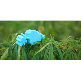 Матрас Amnesia L