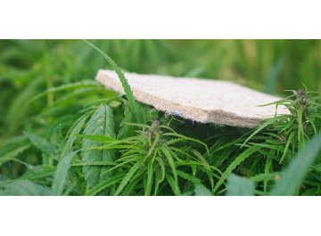 Матрас Amnesia XL