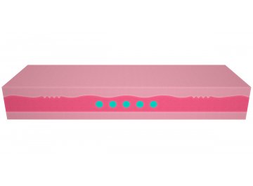 Матрас ProLive Hard