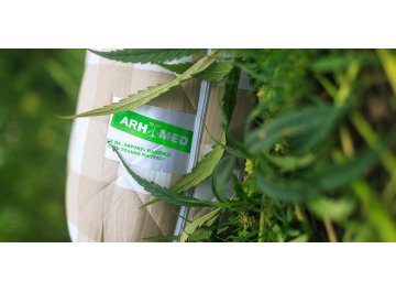 Матрас Sativa XL