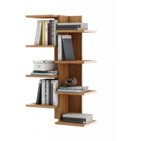 Полка Кевин