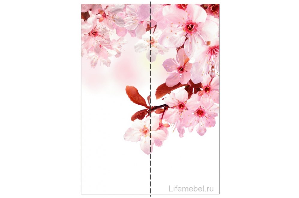 Шкаф-купе Экспресс Хит Фото ФФ Сакура 120 см дуб молочный