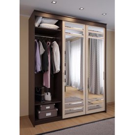 Шкаф-купе ШК-05