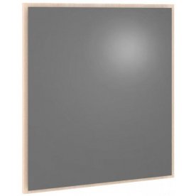 Зеркало Астра-3 ЗН.005.660-00