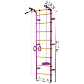 Детский спортивный комплекс Пионер-С1Н