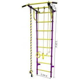 Детский спортивный комплекс Пионер-С2Н