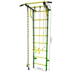 Детский спортивный комплекс Пионер-С2Н