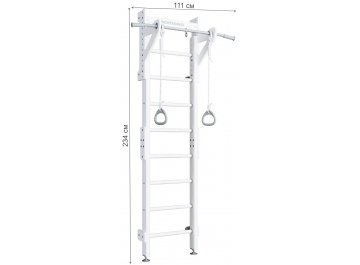 Детский спортивный комплекс для дачи Eco 1.1 02.21.8.14.500.09.01 белый