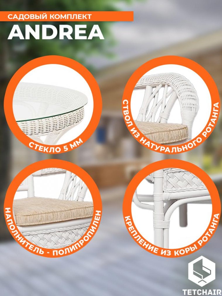 Обеденная группа Andrea/Андреа white (белый)