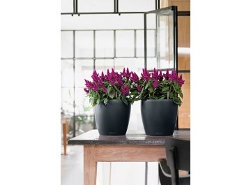 Кашпо Lechuza 13184 CLASSICO Color 21