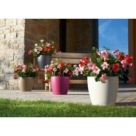Кашпо Lechuza 13204 CLASSICO Color 28