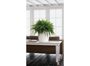 Кашпо Lechuza 13210 CLASSICO Color 35