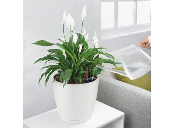 Кашпо Lechuza 13244 CLASSICO Color 43