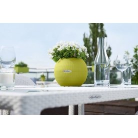 Кашпо Lechuza 13362 LECHUZA-PURO Color 20