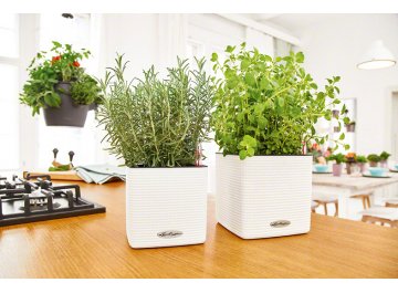 Кашпо Lechuza 13384 CUBE Color 14