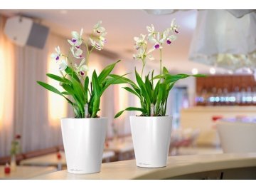 Кашпо Lechuza 14904 DELTINI