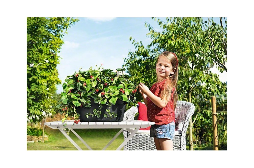 Кашпо Lechuza 14984 CASCADA Color серый