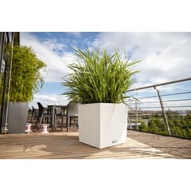 Кашпо Lechuza 15375 CUBE Cottage 30