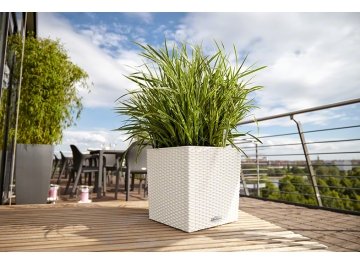 Кашпо Lechuza 15375 CUBE Cottage 30