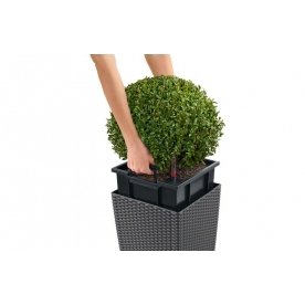 Кашпо Lechuza 15376 CUBE Cottage 30