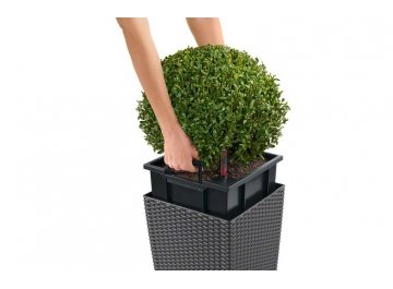 Кашпо Lechuza 15376 CUBE Cottage 30