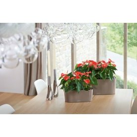 Кашпо Lechuza 15466 DELTA 10