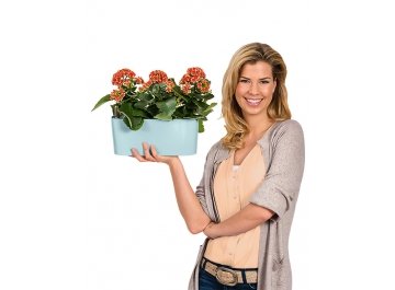 Кашпо Lechuza 15467 DELTA 10