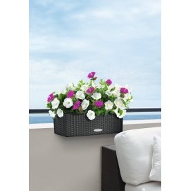 Кашпо Lechuza 15605 BALCONERA Cottage 50