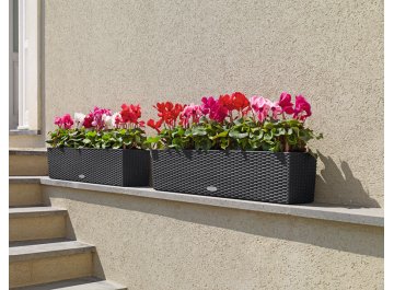 Кашпо Lechuza 15610 BALCONERA Cottage 80