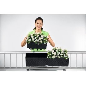 Кашпо Lechuza 15612 BALCONERA Cottage 80