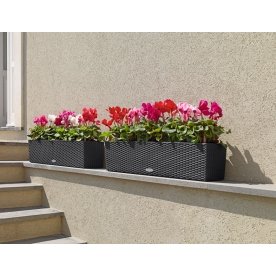 Кашпо Lechuza 15615 BALCONERA Cottage 80