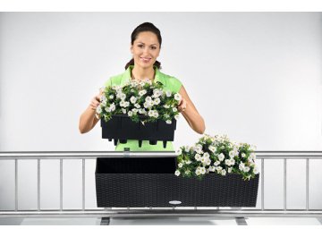 Кашпо Lechuza 15615 BALCONERA Cottage 80