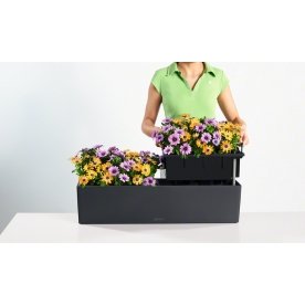 Кашпо Lechuza 15680 BALCONERA Color 80