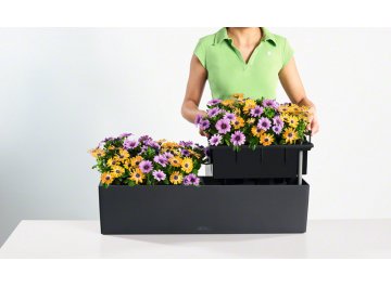 Кашпо Lechuza 15684 BALCONERA Color 80