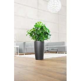 Кашпо Lechuza 15780 RONDO 32