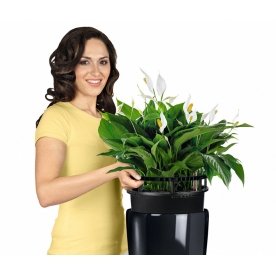 Кашпо Lechuza 15789 RONDO 32