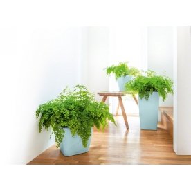 Кашпо Lechuza 16028 CLASSICO LS 21