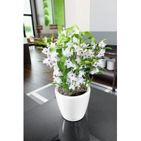 Кашпо Lechuza 16045 CLASSICO LS 28