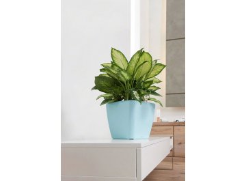 Кашпо Lechuza 16125 QUADRO LS 21