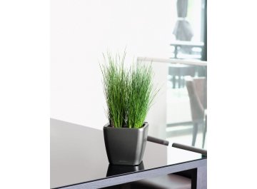 Кашпо Lechuza 16149 QUADRO LS 28