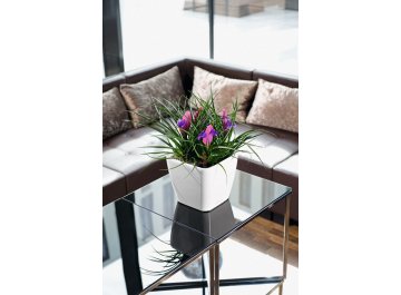 Кашпо Lechuza 16280 QUADRO LS 50