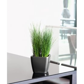 Кашпо Lechuza 16281 QUADRO LS 50