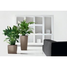 Кашпо Lechuza 16367 CUBE 40